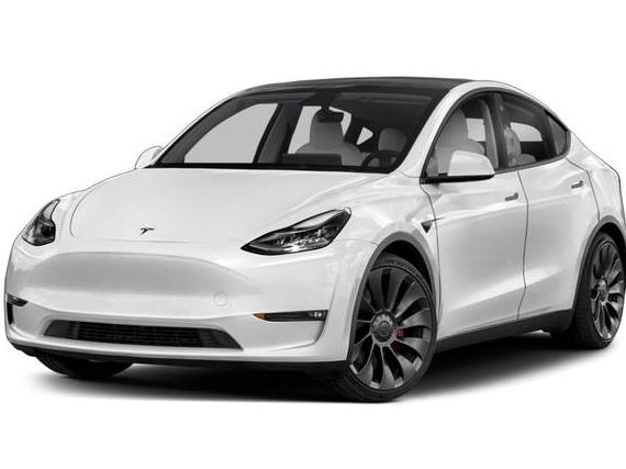 TESLA MODEL Y 2023 7SAYGDEE2PF691363 image